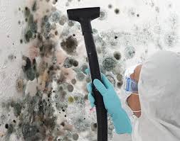 Mold Removal for HVAC Installations in Monmouth, OR